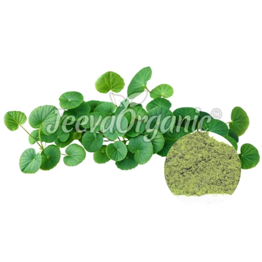 Fresh Gotu Kola leaves with a circular inset of green powder, labeled as JeevaOrganic, showcasing its herbal benefits.