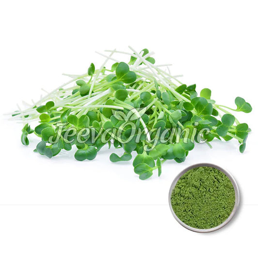 Fresh green microgreens piled beside a bowl of vibrant Organic Alfalfa Grass Juice Powder, labeled "Jeeva Organic."