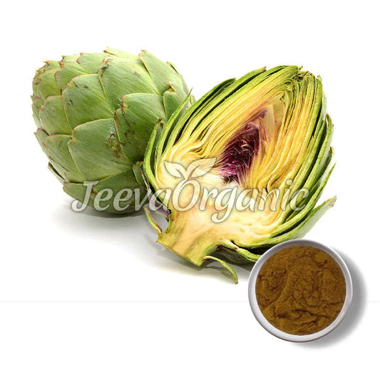 A whole artichoke next to a halved one revealing its inner leaves, with a small bowl of Organic Artichoke Leaf Powder in the corner, labeled "Jeeva Organic."