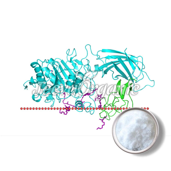 Bulk Pancrelipase Powder Supplier
