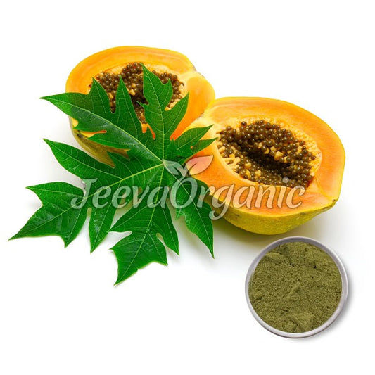 Papaya-Fruchtextraktpulver 10:1