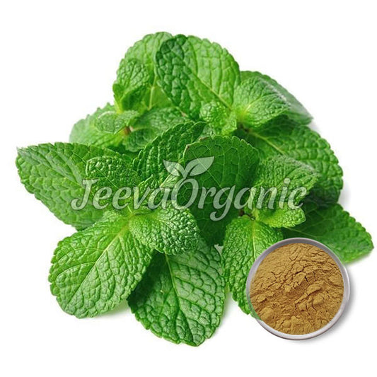 Organic Peppermint Leaves Powder