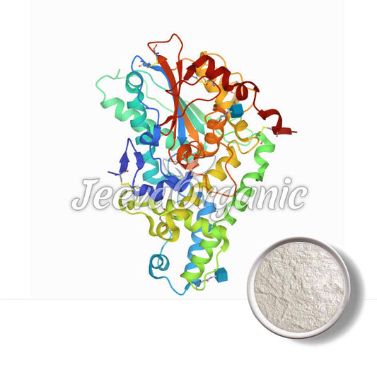 Phytase Powder 1000 IU/gm