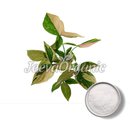 Podophyllum resin powder