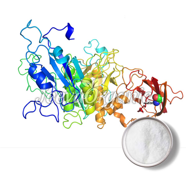 Protease Alkaline (Bacillus)