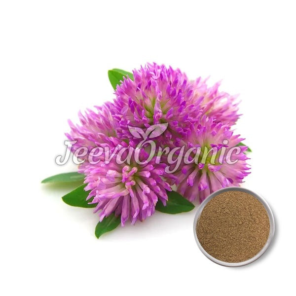 Red Clover Herb Extract Powder 1% Phytoestrogens