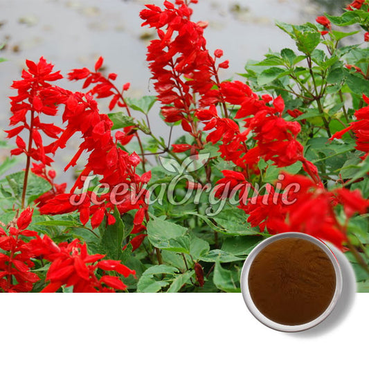 Red Sage Powder