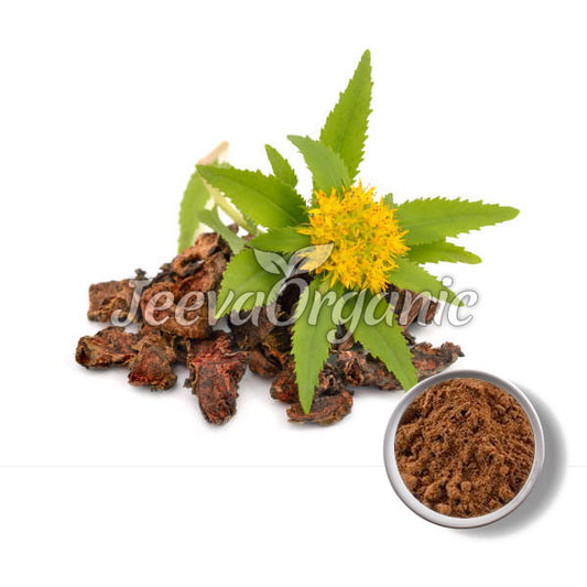 Rhodiola Rosea Powder