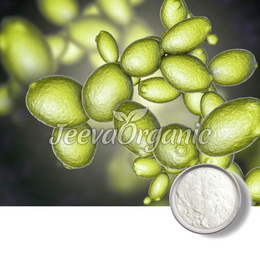 Saccharomyces Boulardii Powder