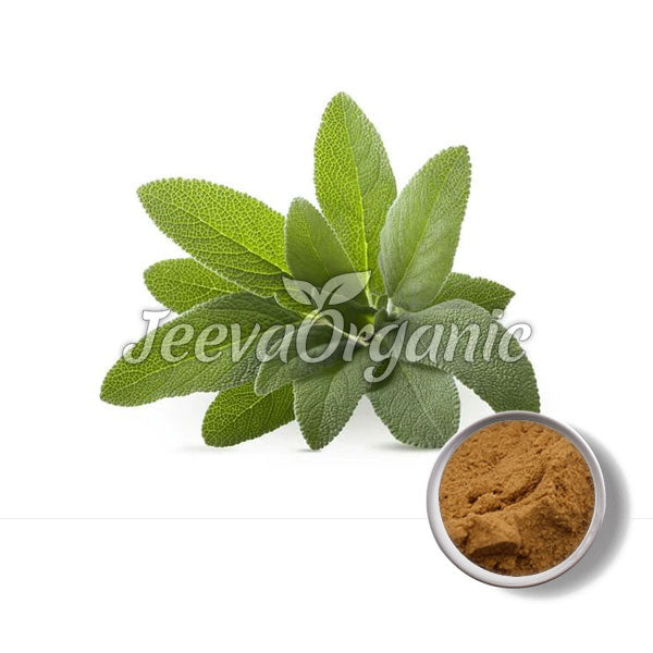 Organic Sage Leaf Powder