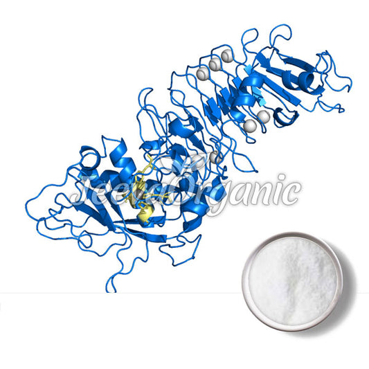 Serratiopeptidase Powder