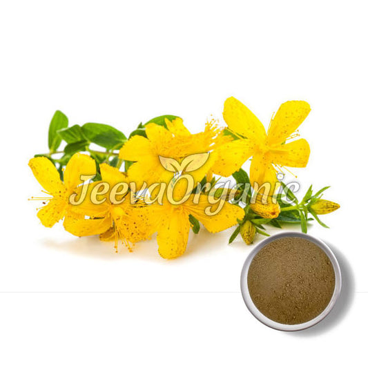 St. John's Wort Powder