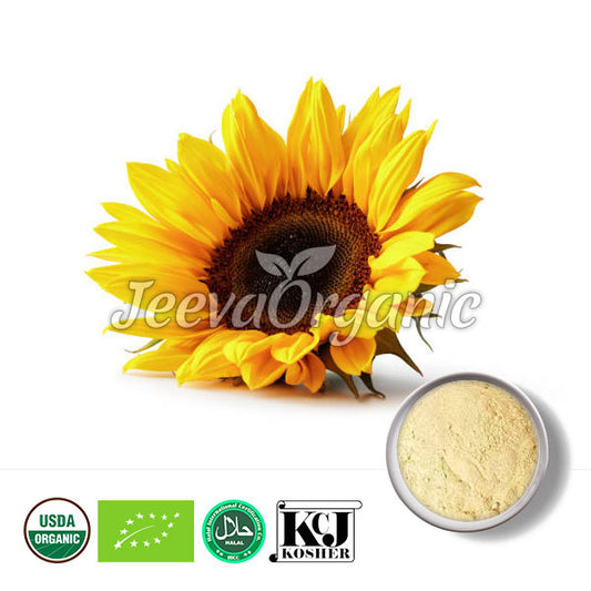 Organic Sunflower Powder