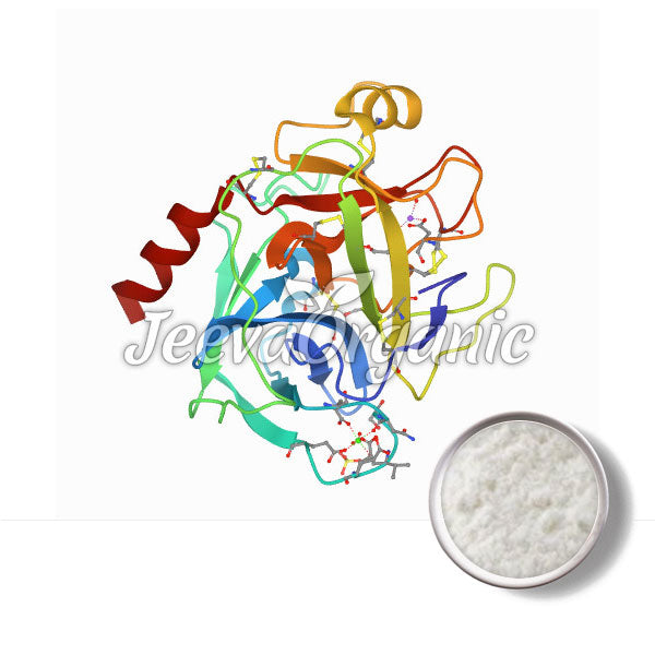 Trypsin Powder(Porcine)