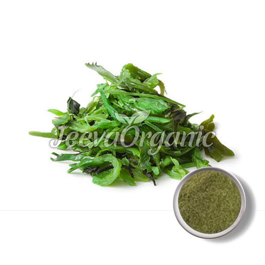 Atlantic Wakame Powder