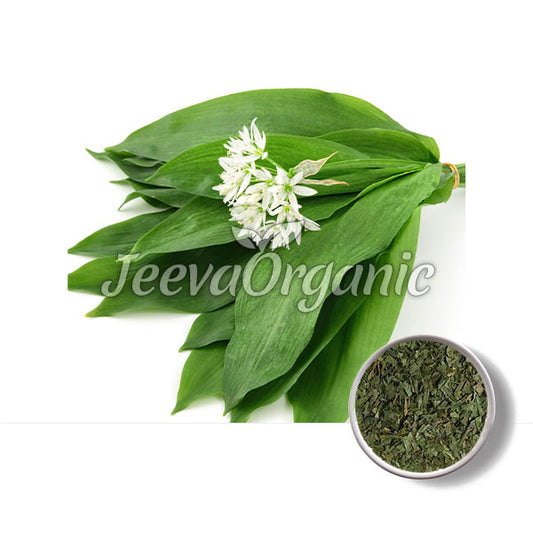 Wild Bear's Garlic Leaf Powder