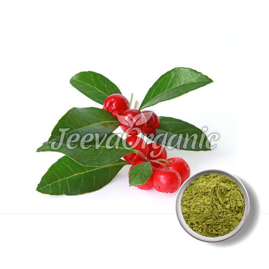 Wintergreen Leaf Powder