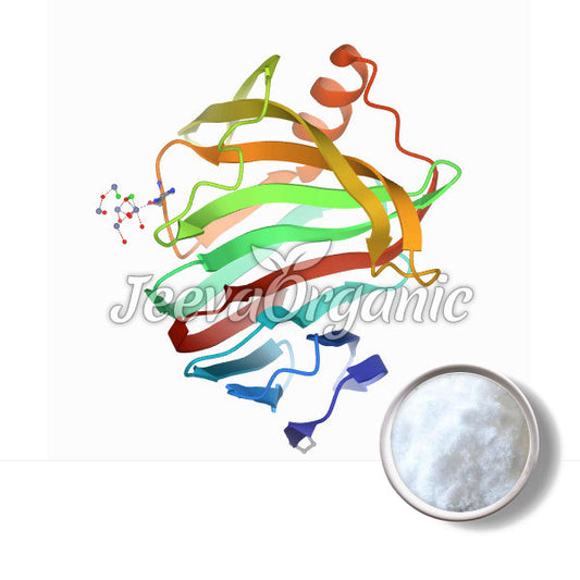 Xylanase Powder 290000 U/g