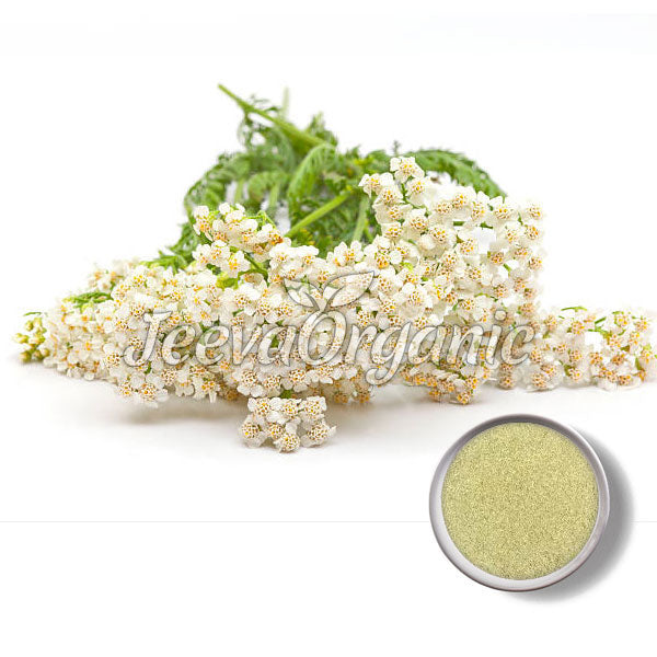 Yarrow Powder