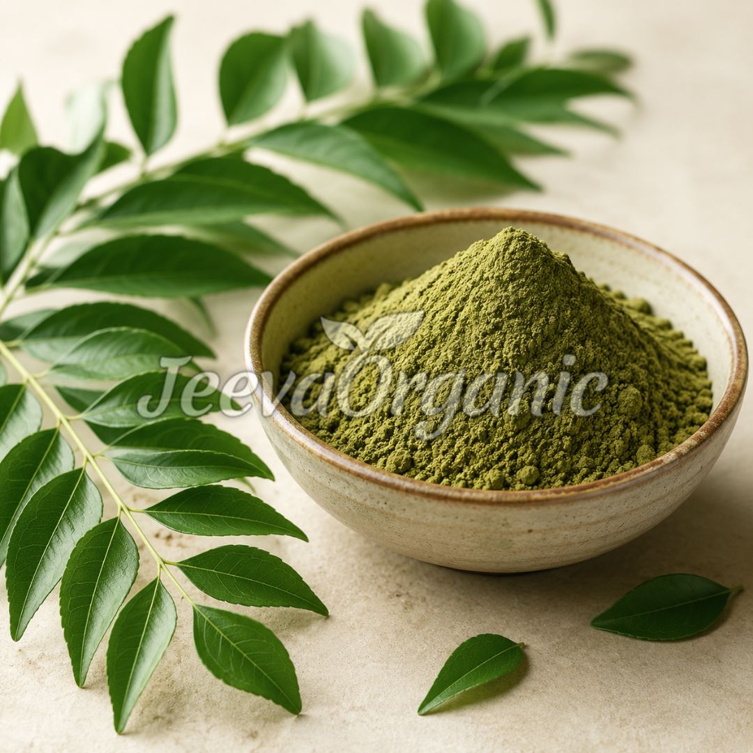Fresh curry leaves beside a bowl of fine green curry leaf extract powder on a white background.