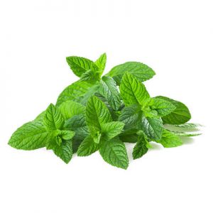 Organic Spearmint Powder