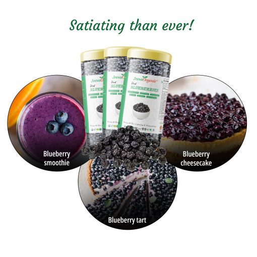 Satiating than ever! Dried Blueberries