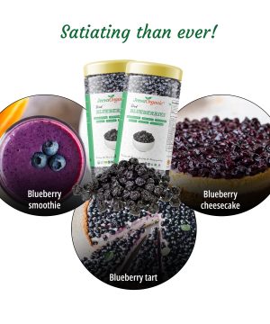 Satiating than ever! Dried-Blueberries Combo