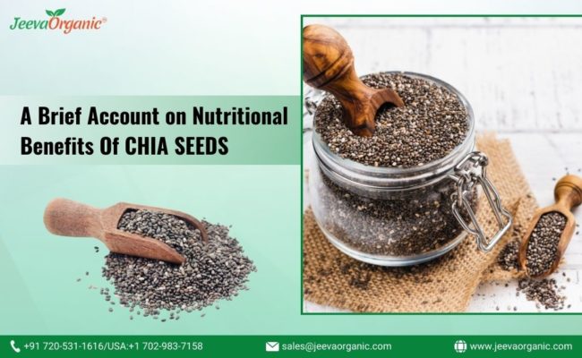 Nutritional Benefits of Chia Seeds