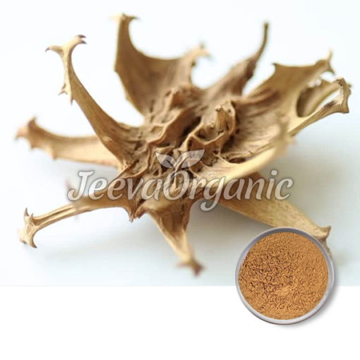 Devils Claw Extract Powder