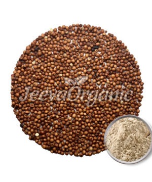 Finger Millet Seed Extract Powder