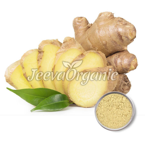 Ginger extract powder