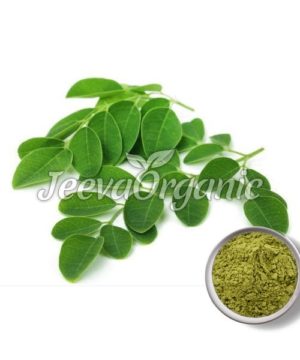 Moringa-Leaf-Extract-Powder