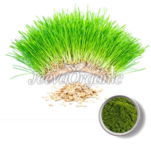 Organic Oat Grass Powder