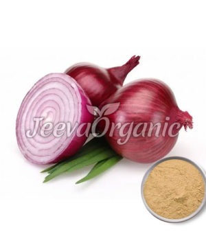 Onion Bulb Extract Powder