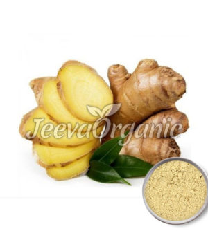 Organic Ginger Extract powder 5% gingerol