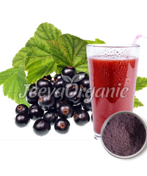Organic Maqui Berry Juice Powder