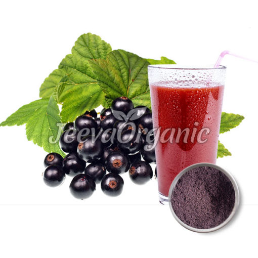 Organic Maqui Berry Juice Powder