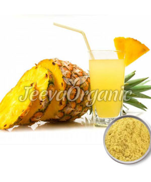 Organic Pineapple Fruit Juice Powder
