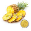Organic Pineapple Fruit Powder