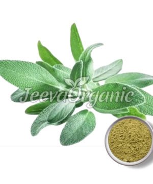 Organic-Sage-Leaf-Powder