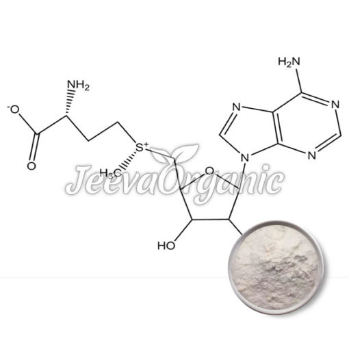 S-Adenosyl Methionine Tosylate Disulfate powder