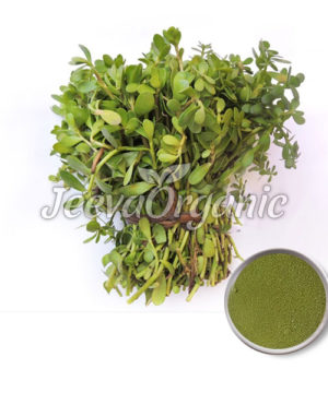 bacopa-leaf-extract