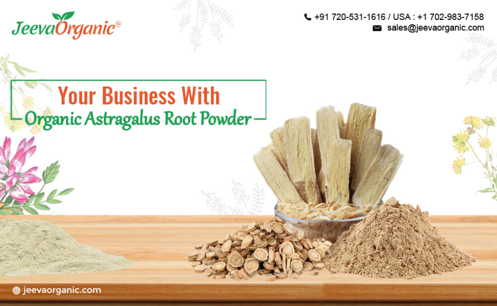Discover the Immune-Boosting and Anti-Aging Properties of Organic Astragalus Root Powder