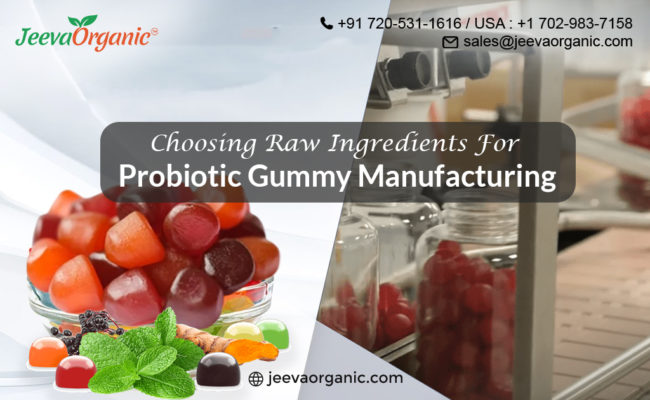 Choosing Raw Ingredients for Probiotic Gummy Manufacturing