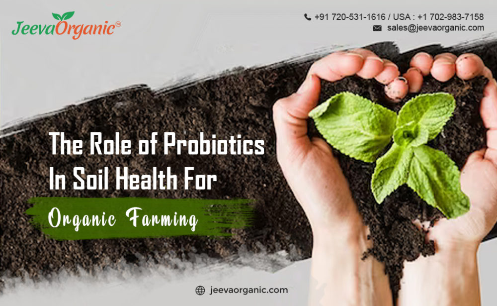 The Role of Probiotics in Soil Health for Organic Farming