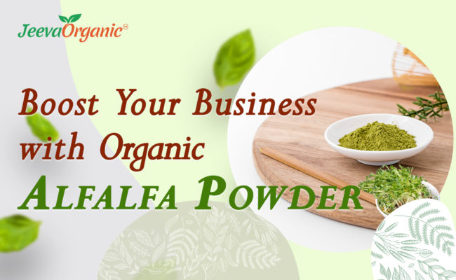 Discover the Health Benefits of Organic Alfalfa Powder and Why It's a Must-Have for Your Business