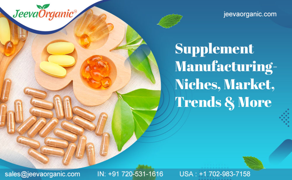 Niche Market Opportunities in Supplement Manufacturing