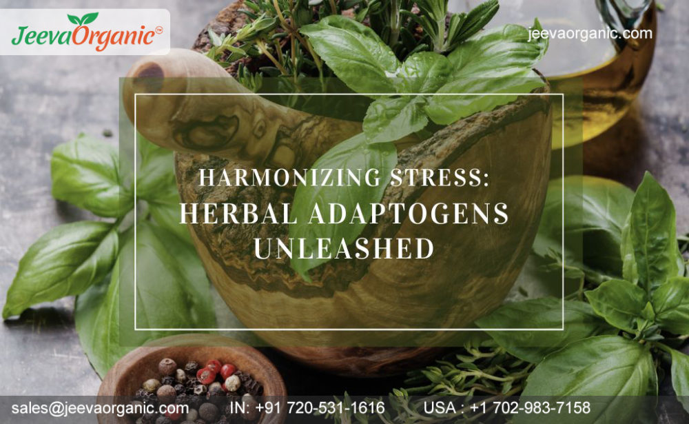 Herbal Adaptogens: Stress-Relief Superstars