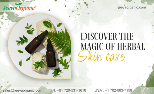 Herbal Skincare Ingredients: Unleash the Power of Nature