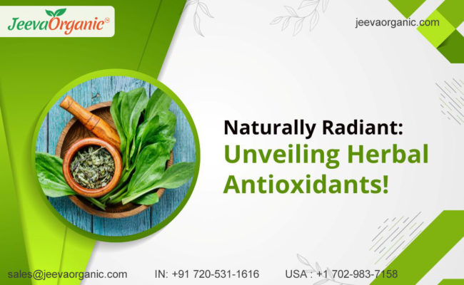 Herbal Antioxidants: Natural Elixir for Health & Skincare
